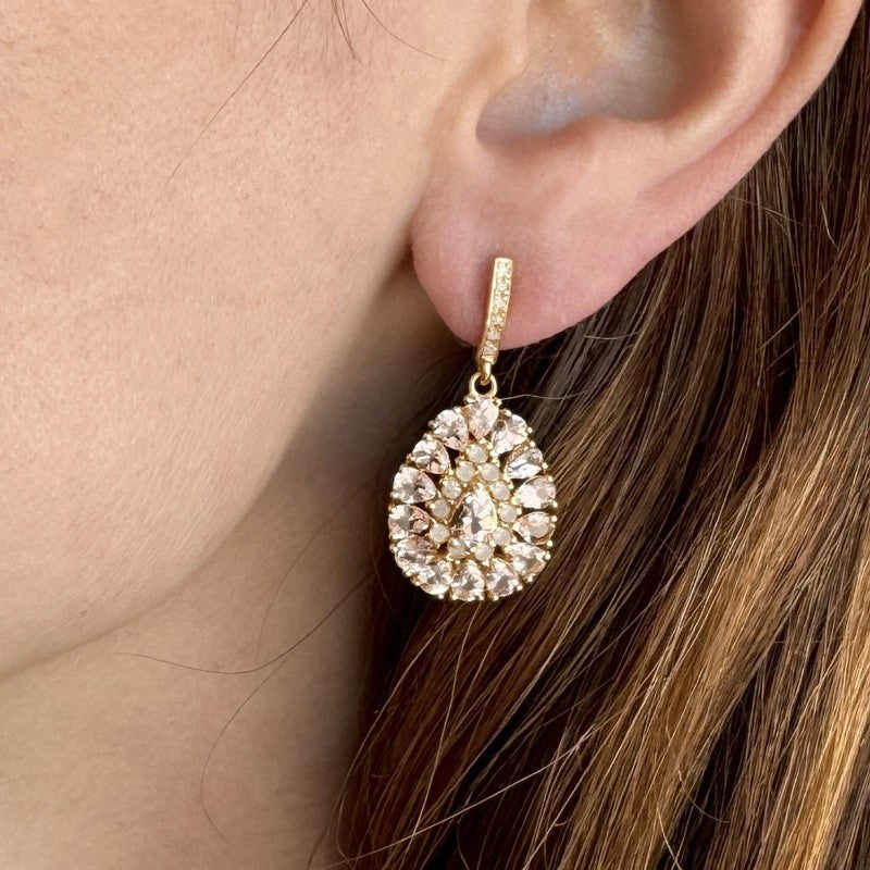The Woods Morganite Drop Earrings