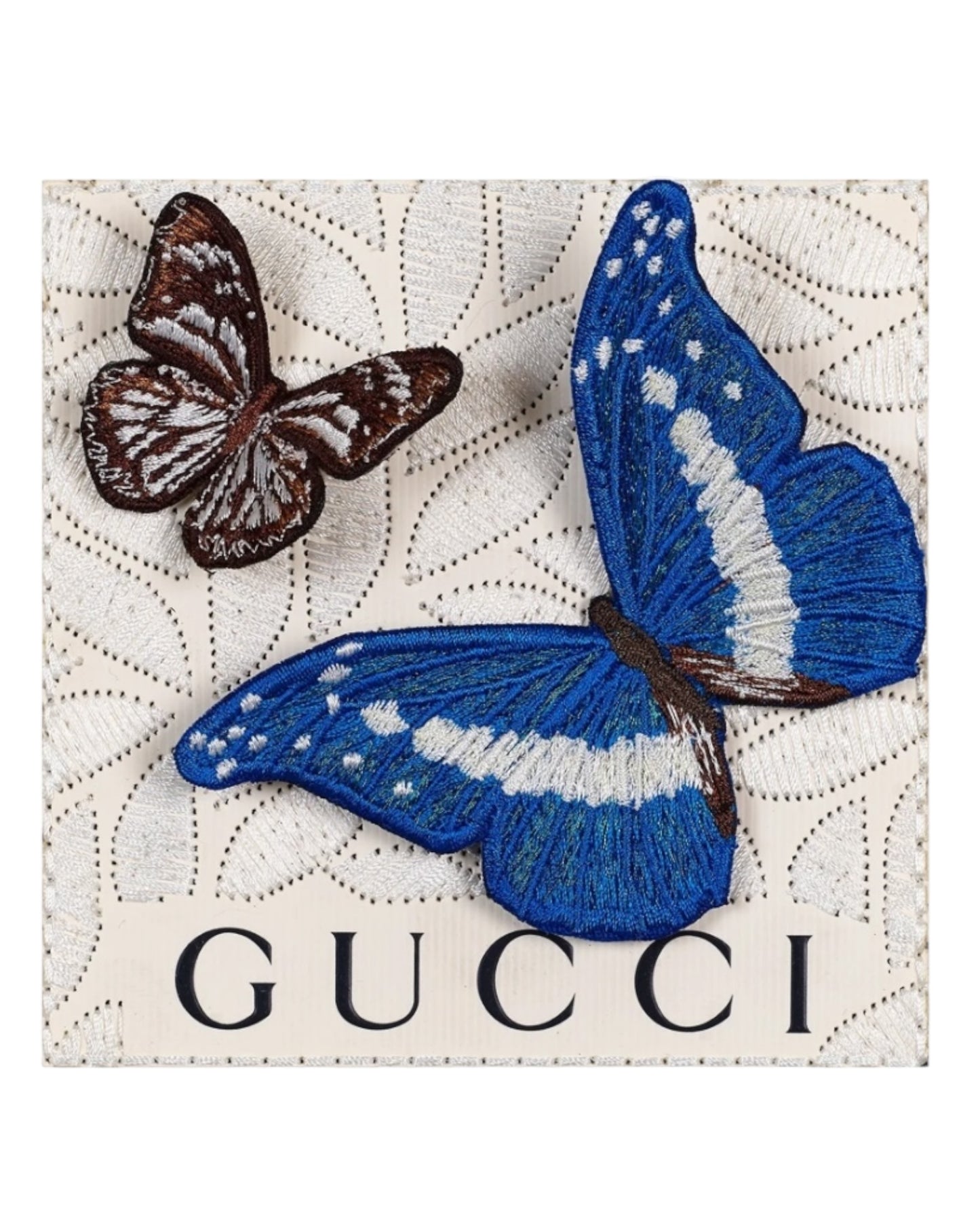 Stephen Wilson Butterfly Petite Shadowbox 5"x 5"