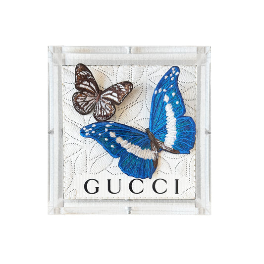 Stephen Wilson Butterfly Petite Shadowbox 5"x 5"