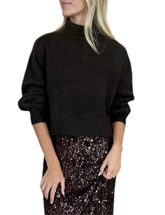 Vanessa Bruno Ballerine Turtleneck Sweater