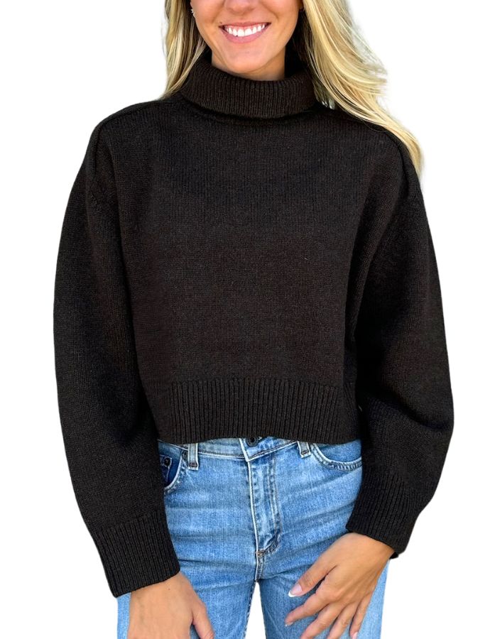 Vanessa Bruno Ballerine Turtleneck Sweater