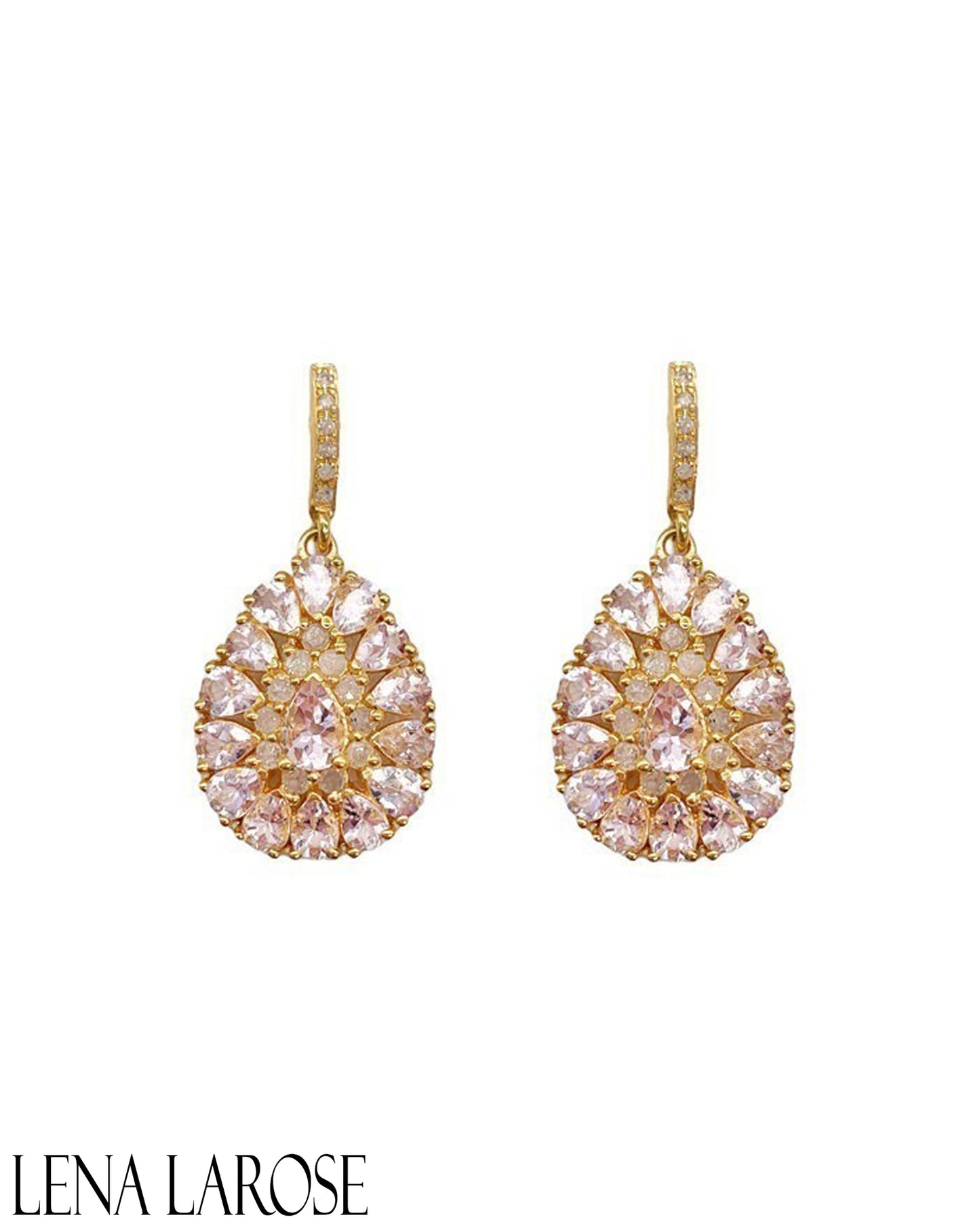 The Woods Morganite Drop Earrings